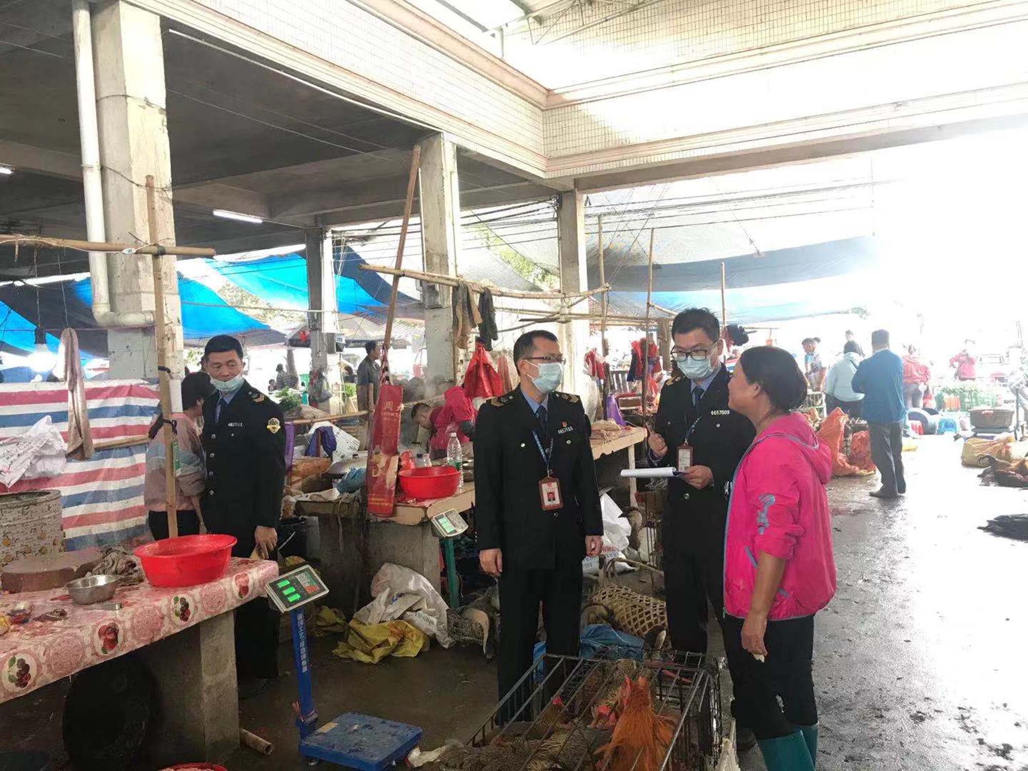 吳副局長帶隊嚴(yán)查禽肉類食品集貿(mào)市場1.jpg