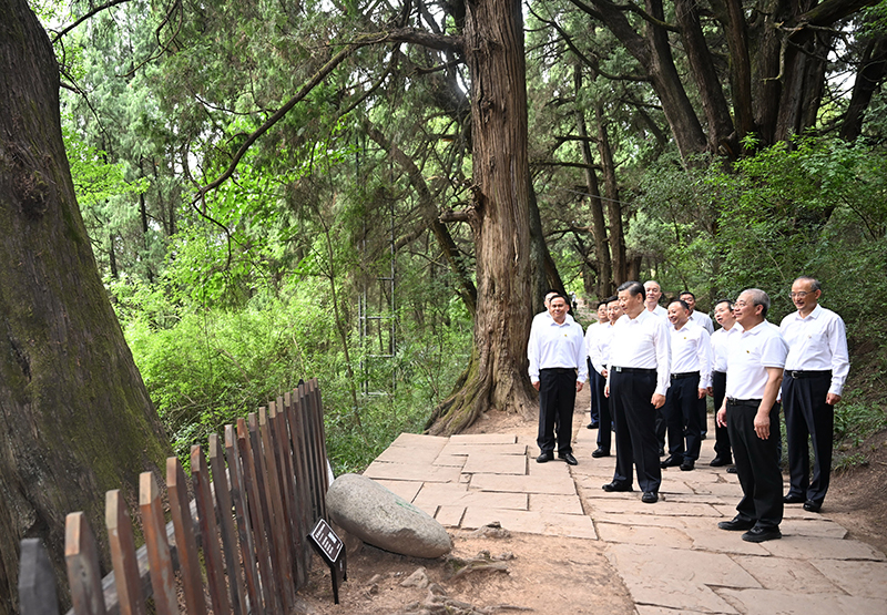 7月25日至27日，中共中央總書記、國家主席、中央軍委主席習近平在四川考察。這是25日下午，習近平在廣元市劍閣縣翠云廊考察。